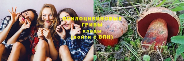 mdpv Вязьма